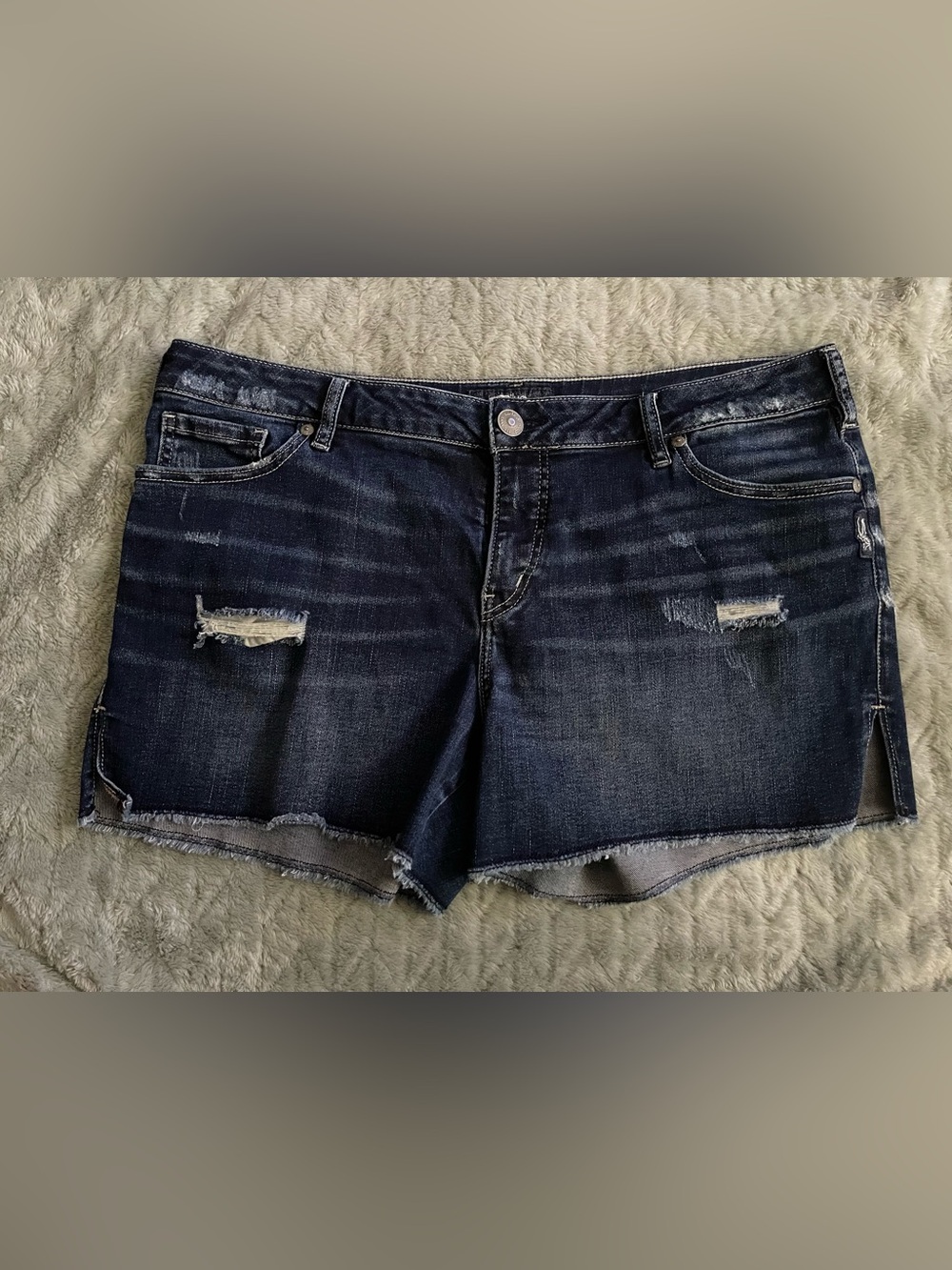 Women’s Silver Shorts Size 32/4L